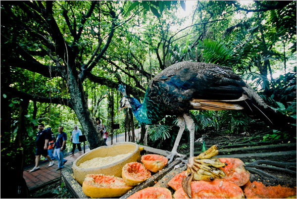 Công viên chim Kuala Lumpur 