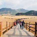 Say mê với nét quyến rũ vịnh Suncheon