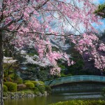 Du ngoạn công viên Tsuruma ở Nagoya