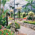 Du ngoạn vườn nhiệt đới Nong Nooch