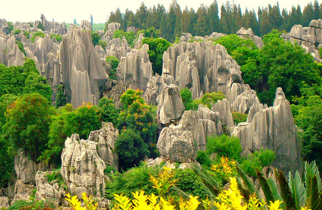 Khám phá rừng đá độc đáo ở Trung Quốc