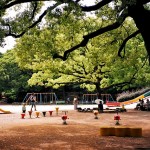 Du ngoạn công viên Tsuruma ở Nagoya