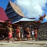 Thót tim với lễ hội Hombo Batu ở Sumatra