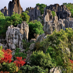 Khám phá rừng đá độc đáo ở Trung Quốc
