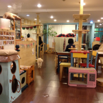 Những quán cafe mèo dễ thương ở Seoul
