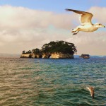Vẻ đẹp quyến rũ của vịnh Matsushima