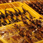 Bạn có dám thử đặc sản côn trùng ở Thái Lan