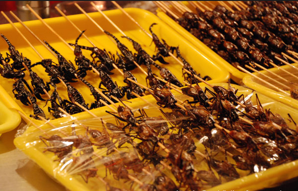 Bạn có dám thử đặc sản côn trùng ở Thái Lan