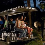 vườn thú đêm Night Safari