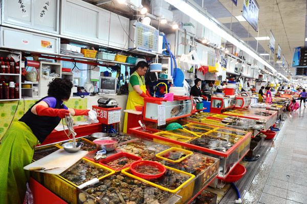chợ cá Jagalchi lớn nhất Hàn Quốc