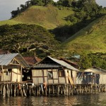 sentani1