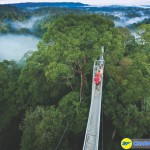 cong vien quoc gia Ulu Temburong