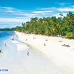dao bohol