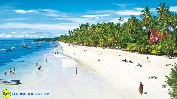 Du lịch đảo Bohol