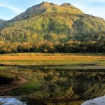 nui apo davao