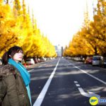 Đại lộ Icho Namiki vào mua thu lá vàng sẽ chuyển thành màu đỏ