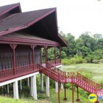 Cây cầu gỗ tại khu sinh thái Tasek Merimbun