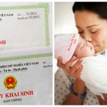 2459_giay