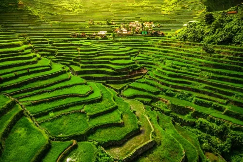 Giới thiệu ruộng bậc thang Banaue ở Philippines