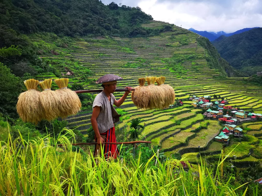 Tìm thời điểm hoàn hảo để ghé thăm