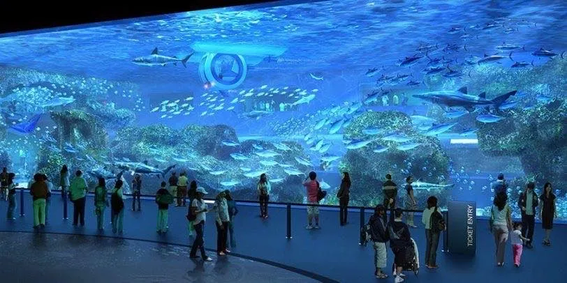 Cebu Ocean Park  - Thưởng thức chương trình biểu diễn động vật