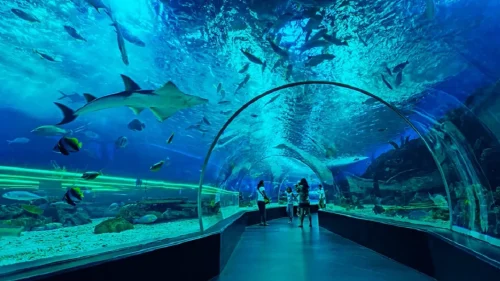 Giới thiệu về công viên Cebu Ocean Park